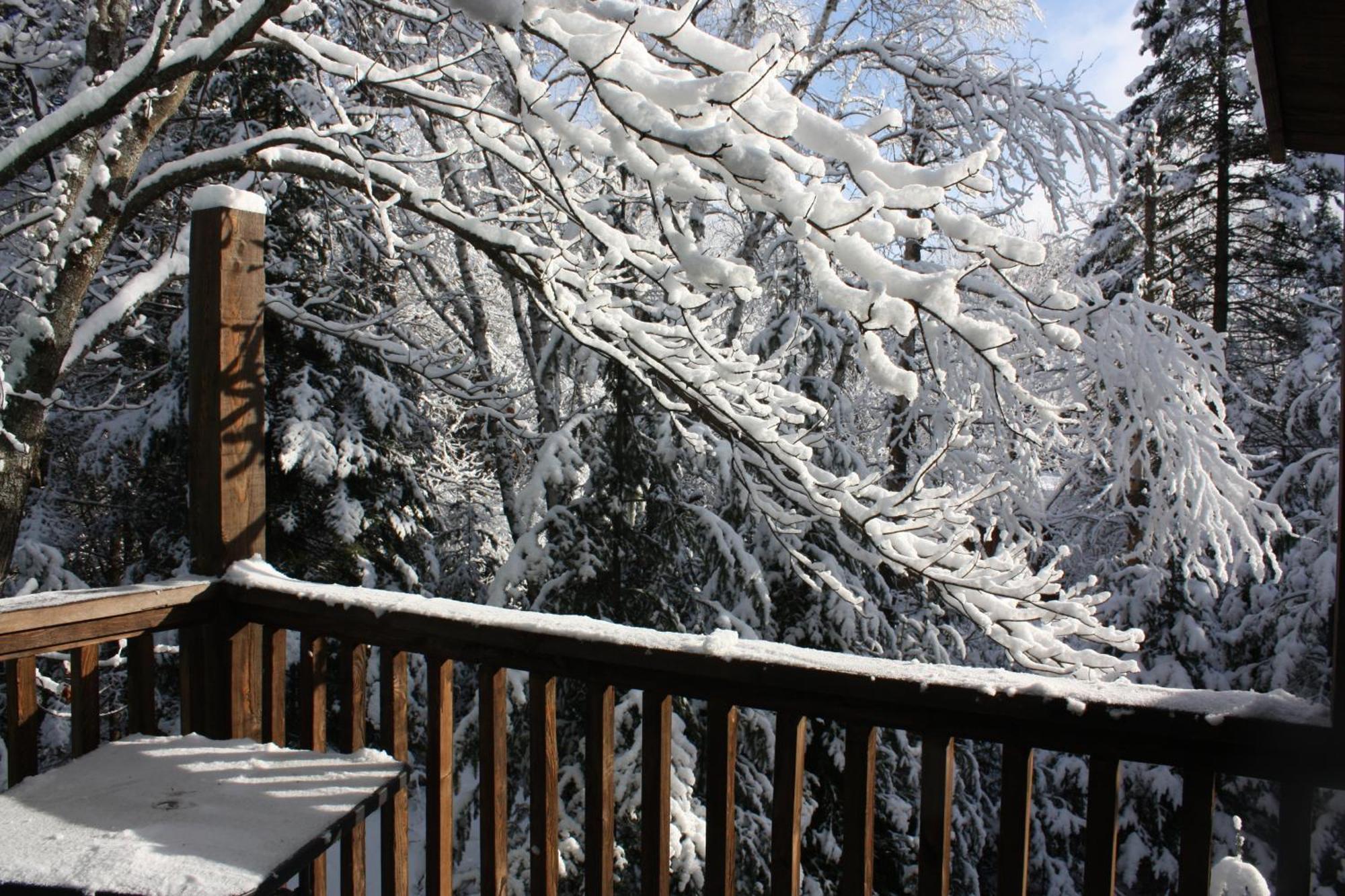 Chalets Et Studios Le Vent Du Nord Lac-Superieur Dış mekan fotoğraf