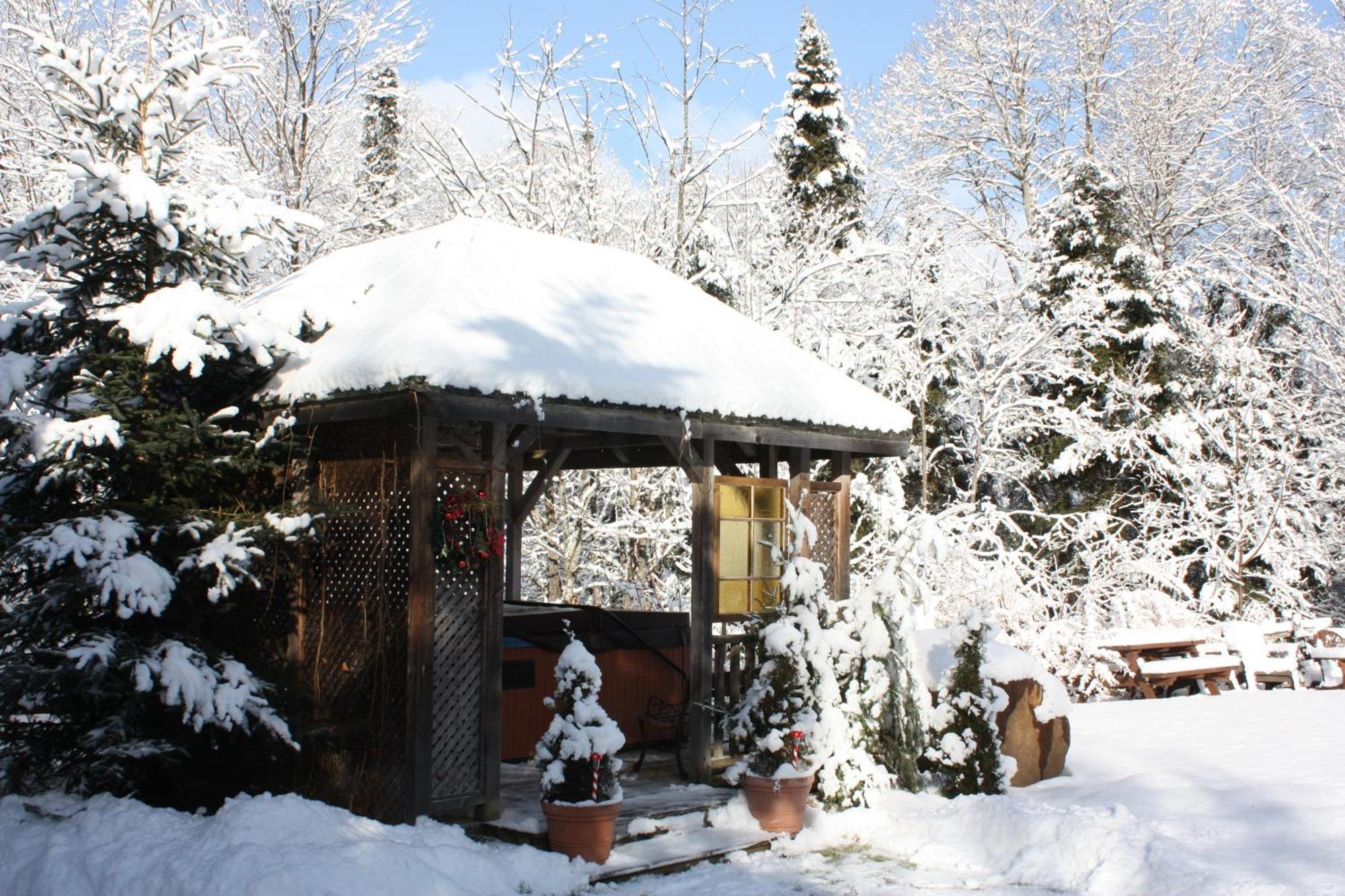 Chalets Et Studios Le Vent Du Nord Lac-Superieur Dış mekan fotoğraf